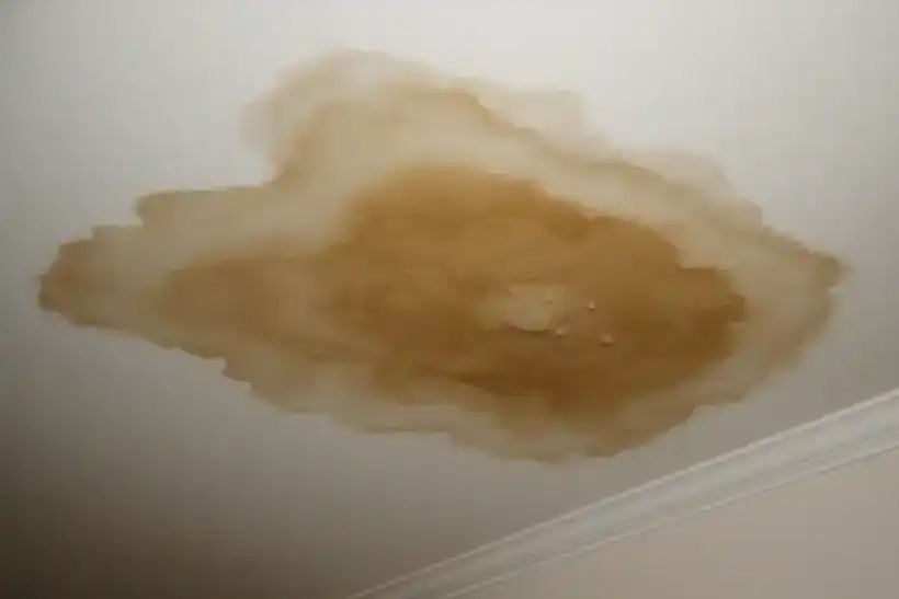 Brown water stain spreading across a white Houston ceiling below a roof leak